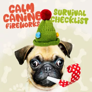 Fireworks Dog Anxiety Checklist: Calm, Safe, Prepared